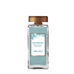 Gandini – Aquamarina for men EDT 100 ml